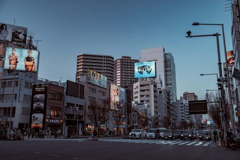 Tokyo: Meiji Jingu, Yoyogi Park & Takeshita Street Tour - A Detailed Breakdown of the Itinerary