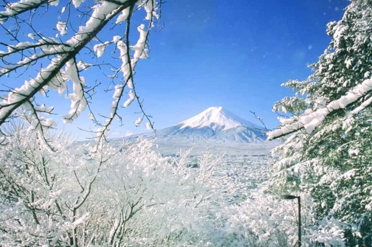 Tokyo: Mount Fuji Day Trip with Scenic & Local Stops - What to Expect in Terms of Logistics and Experience