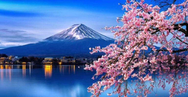 Tokyo: Mt. Fuji & Hakone Cherry Blossoms Private Day Tour - The Final Stop: Owakudani & Return to Tokyo