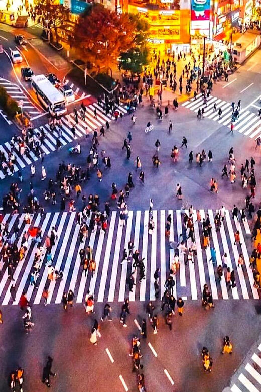 Tokyo Private Customizable Tour with a Local Guide - The Bottom Line