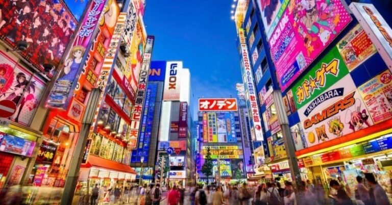 Tokyo: Winter Illuminations Private Tour with a Local - What Makes This Tour Stand Out?