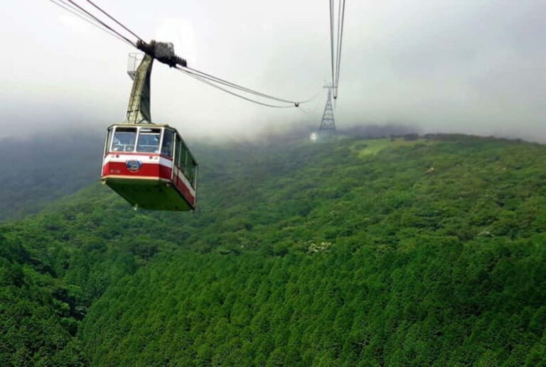 Tokyo:Hakone,Mt.Fuji,Cruise,ropeway,w/lunch,Shinkansen - What Travelers Say