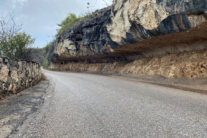 Tour in North and South Bonaire Guided - Final Thoughts