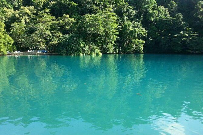 Tour to Fern Gully and Konoko Falls and Park - Authentic Insights from Reviews