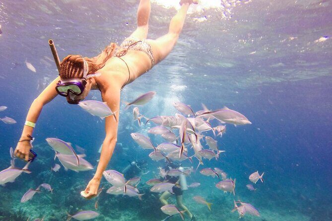 Tours to Saona Island - Analyzing the Value and Experience