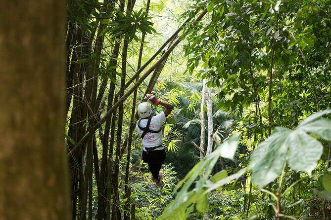 Treetop Canopy Adventure - The Itinerary: What to Expect