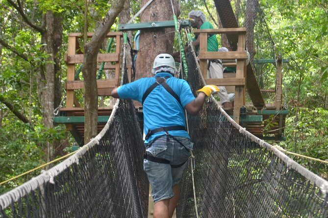 Trinidad Zipline Adventure - Why This Tour Works