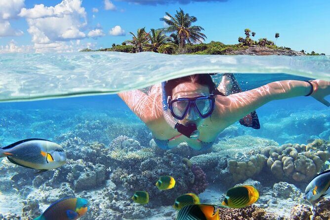 Tropical Punta Cana Booze Cruise  Snorkel, Sandbar & Party Vibes - Who Is This Tour Best For?