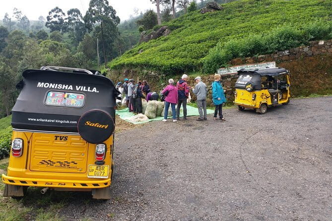 Tuk Tuk safari and Picnic in The Tea Plantation from Ella,Haputale & Bandarawela - A Deep Dive into the Experience
