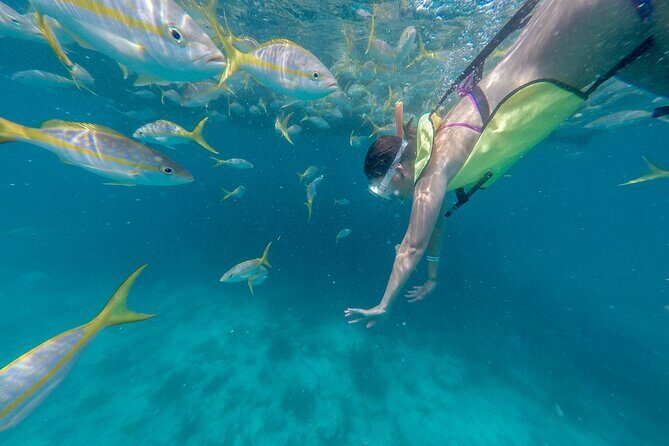 Turtle Snorkel Sail on Buck Island from Frenchman's Reef - Analyzing the Value: Price vs. Experience