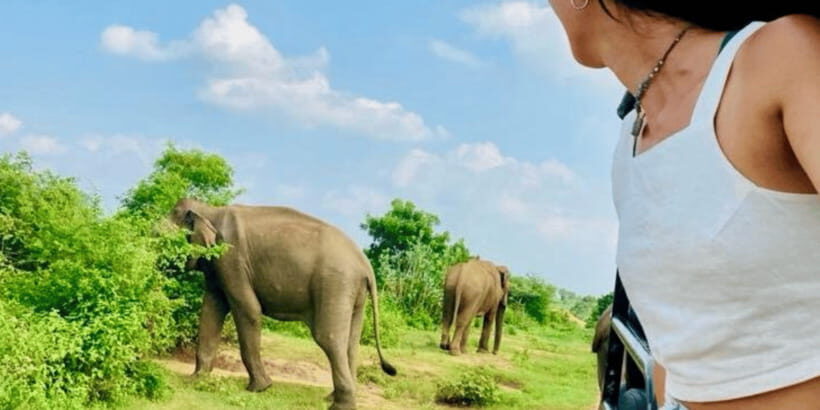 Udawalawe National Park: Safari with Experienced Driver - Practical Tips for Your Safari