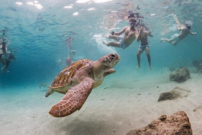 Ultimate Full-Day Private Tour: Discover all Curacao highlights - Who Is This Tour Best Suited For?