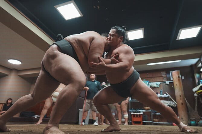 Unique Afternoon Live Sumo training tour in Tokyo - Who Will Love This Tour?