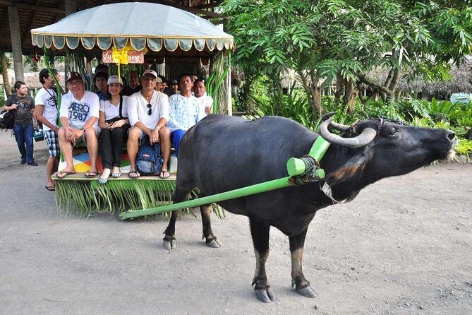 VILLA ESCUDERO DAY TOUR with Carabao Cart Ride and Bamboo from Manila - Overview of the Villa Escudero Day Tour