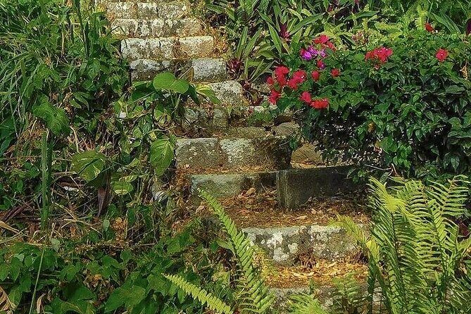 Wingfield Rainforest Adventure Hike and Caribelle Batik stop - Full Island Views & City Tour: Starting at Basseterre