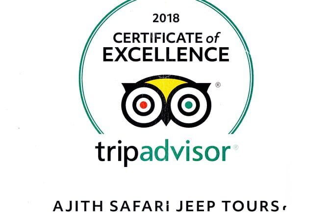 Yala Camping by Ajith Safari All Inclusive - Why This Tour Could Be Perfect for You