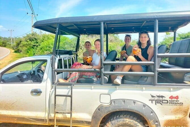 Yala National Park Safari Tours from Hambantota Port - Who Should Consider This Tour?
