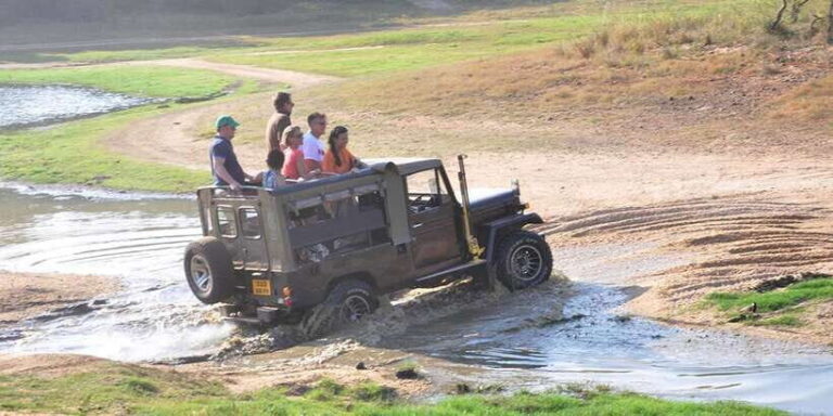 Yala Private Safari: Half-Day or Full-Day with Picnic Lunch - Is This Tour Right for You?