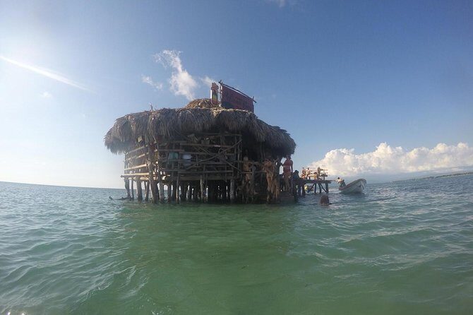 YS Falls, Black River Safari, Floyds Pelican Bar - Authentic Experiences and Genuine Impressions