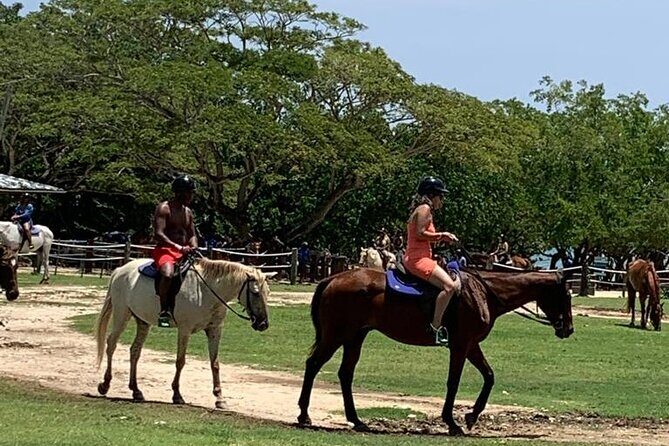 Zipline, Horseback Ride, ATV and Catamaran from Montego Bay - Final Reflections: Who Will Love This Tour?