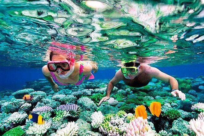 1 Hour Private Snorkeling Activity In Montego Bay - The Underwater Highlights