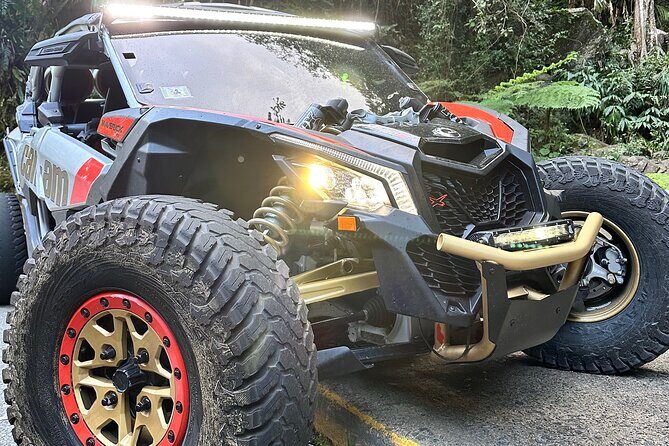 3-Hour Private UTV Tour in San Juan - The Practical Details: What You Need to Know