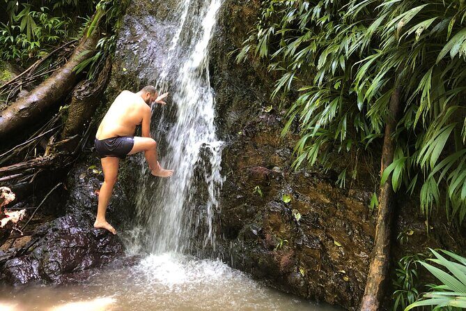 3 Hours Rainforest Walk in Tobago (Private) Lunch + Hummingbirds - The Value of this Tour