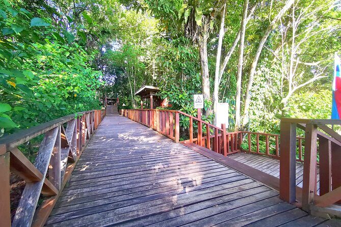 3D2N Sukau Wildlife Experience - What We Like and What to Consider