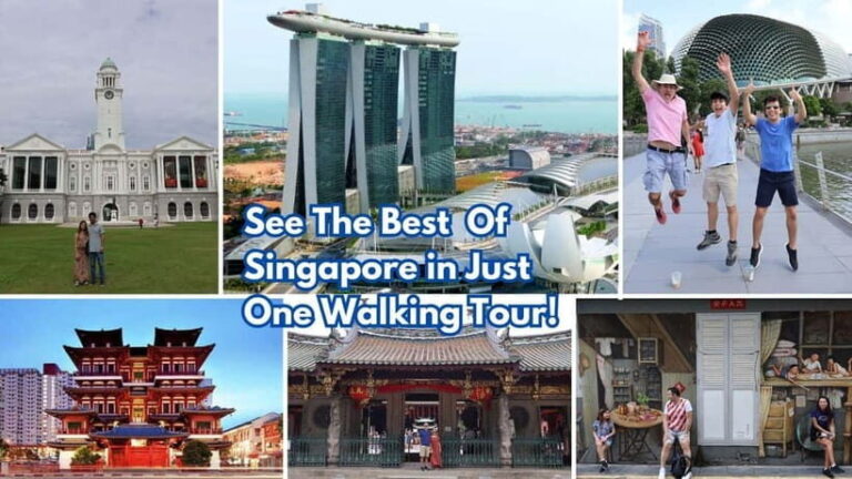 4 hour Chinatown, Civic District to Marina Bay Walking Tour - An In-Depth Look at the Tour