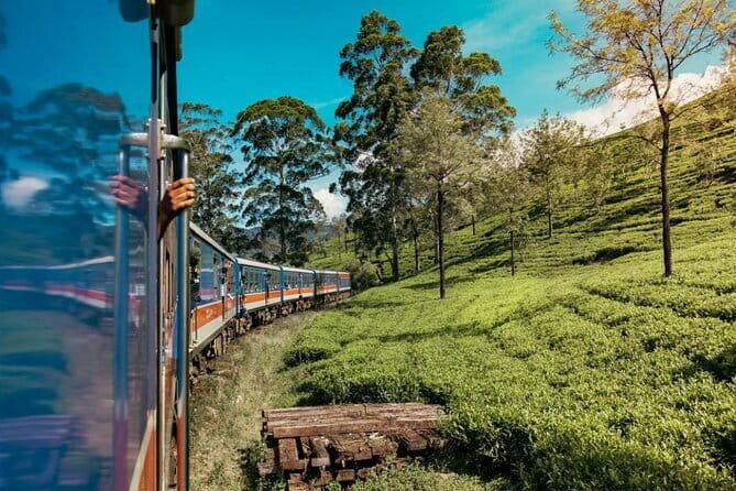 9 Days Guided Tour Through Sri Lanka - Transportation and Practicalities