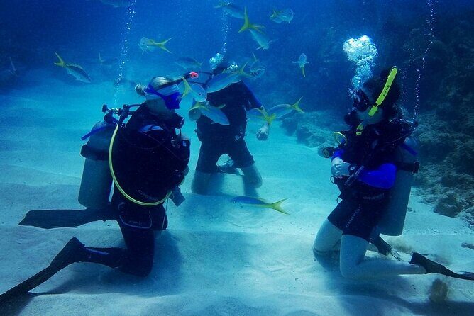 Advanced Open Water Diver - Bávaro - The Itinerary: What You Can Expect