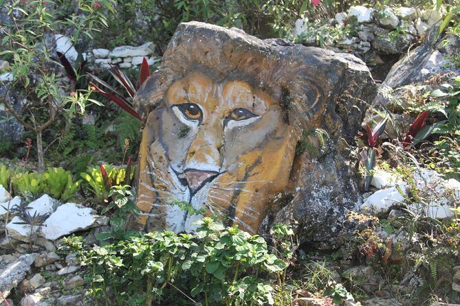 Ahhh Ras Natango Gallery and Garden Private Transfer - Authentic Experiences and Feedback