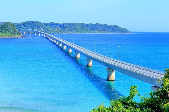 Akiyoshido Cave & Motonosumi Shrine Coastline & Spelunking Tour - Transportation and Group Dynamics