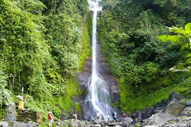 Amazing Private Tours: Dolphins Lovina and Gitgit Waterfall include Lunch - Final Thoughts: Is It Worth It?