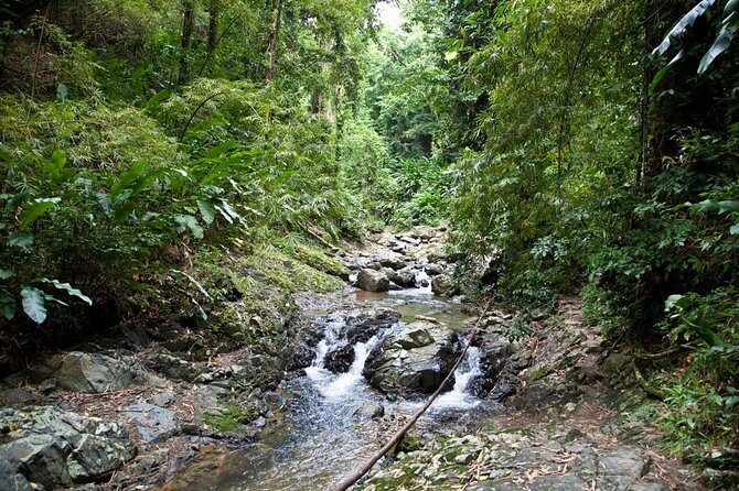 Argyle Waterfall with Adventure Farm - A Detailed Look at the Tour Experience
