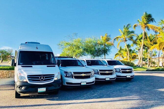 Aruba Airport (AUA) to Aruba island - Arrival Private Transfer - What to Expect During Your Transfer
