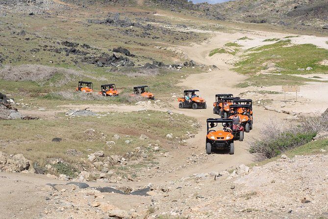 Aruba UTV Tour with Natural Cave Pool and Cliff Jumping - Who Will Love This Tour?