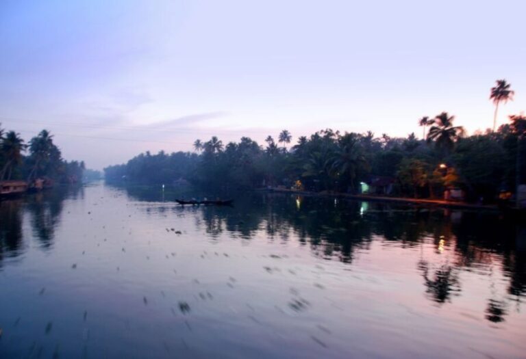 Backwaters of Alapuzha from Cochin port - Who Should Consider This Tour?