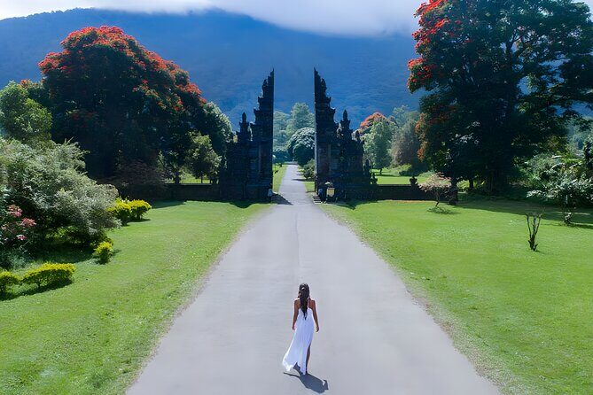 Bali Car-Charter: Amazing North Bali Tour - Practical Details: Transportation, Timing, and Value