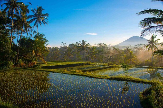 Bali Half Day Photography Tour - Why This Tour Offers Great Value