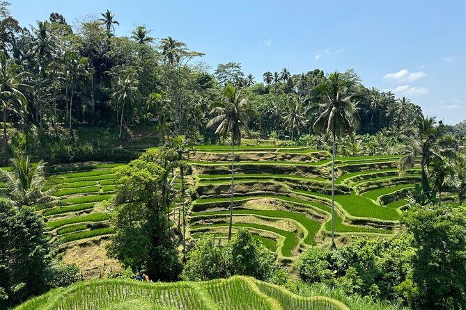 Bali Volcano & Ubud Day Tour Temples, Rice Terraces & Lunch - Authentic Experiences That Matter