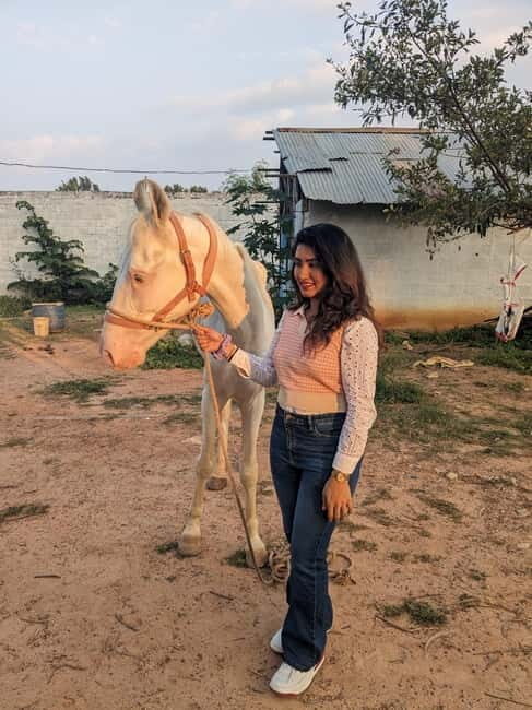 Bangalore: Horse Riding Safari Tour - What the Tour Includes and How It Works