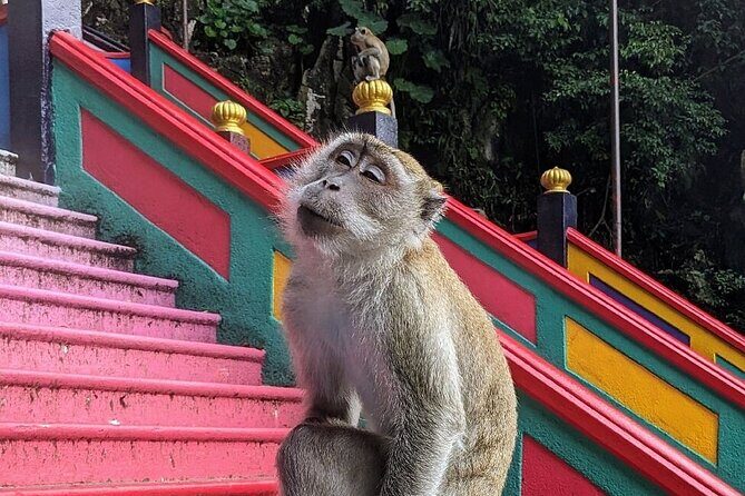 Batu Caves, Waterfalls and Hot Springs Tour With Lunch - What Travelers Say