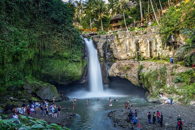 Best of Ubud 1-Day Private Tour - Exploring the Itinerary