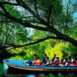 Bintan Mangrove Discovery Tour - Why This Tour Is Worth Considering