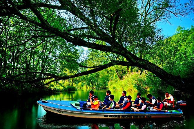 Bintan Mangrove Discovery Tour - Why This Tour Is Worth Considering