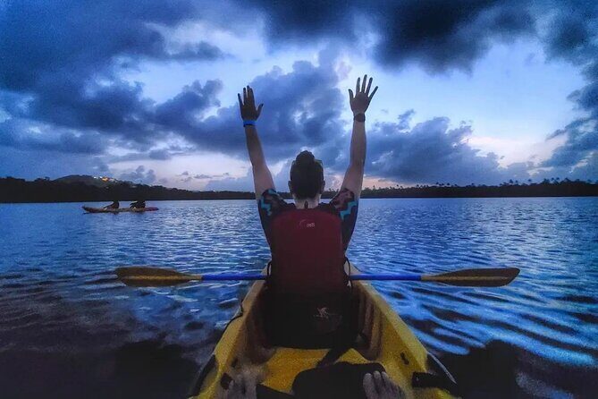 Bioluminescent Bay Kayak Tour in Fajardo Puerto Rico - What to Expect from the Bio-Bay Kayak Tour in Fajardo