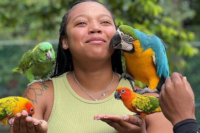 Bird Sanctuary and animal farm Day Tour - Who Will Love This Tour?