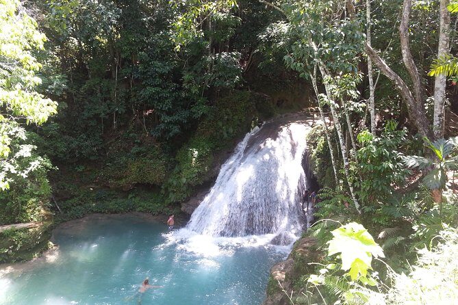 Blue Hole and Dunns River Falls from Falmouth - The Value of Guided Experiences