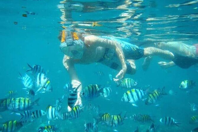 Blue Lagoon Snorkeling Kanto Lampo and Tegenungan Waterfall Tour - What the Reviews Say